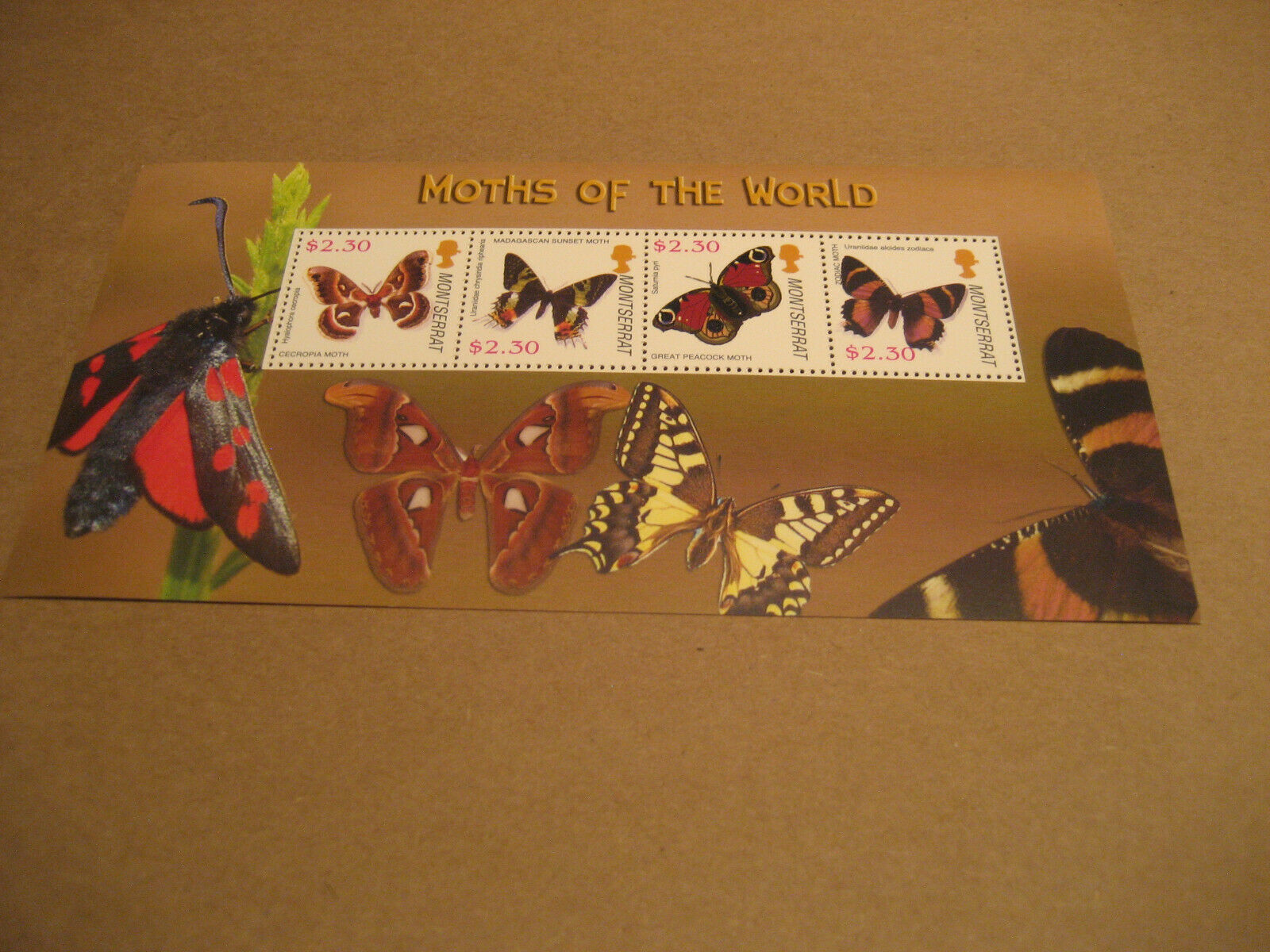 Montserrat     2005    Moths Of The World Sheetlet